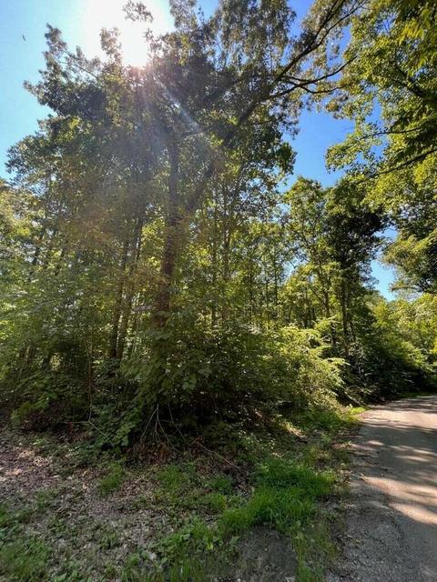 12 Dudley Hill Rd, Nancy, KY 42544 photo 7