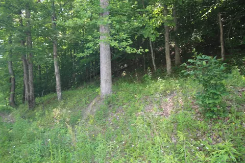 190 Will Lindon Br, Campton, KY 41301 photo 41