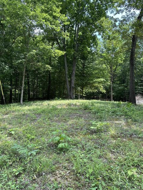 316 Shepperd Rd, Nancy, KY 42544 photo 6