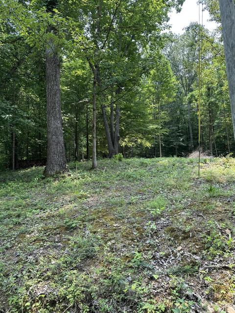 316 Shepperd Rd, Nancy, KY 42544 photo 2