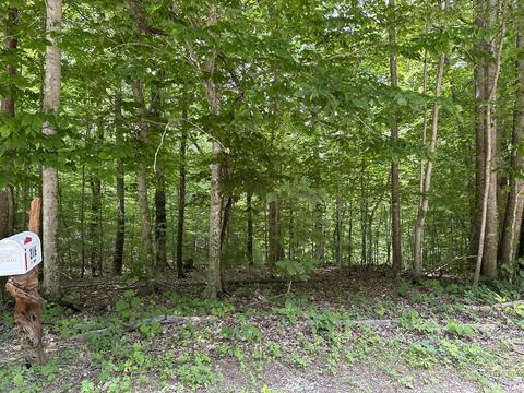 316 Shepperd Rd, Nancy, KY 42544 photo 5