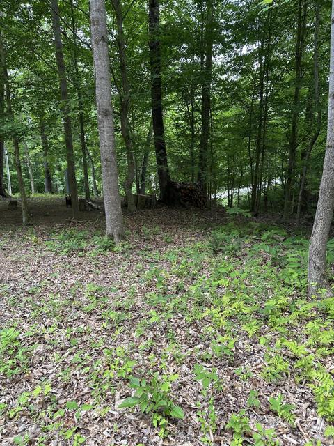 316 Shepperd Rd, Nancy, KY 42544 photo 4