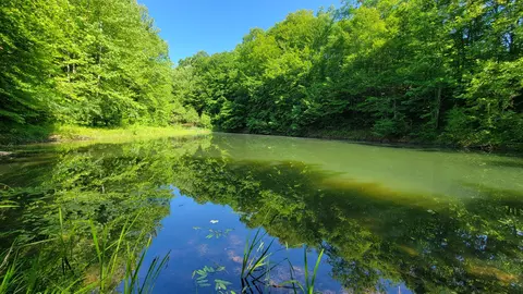 0 Emanuel Hollow Rd, Barbourville, KY 40906