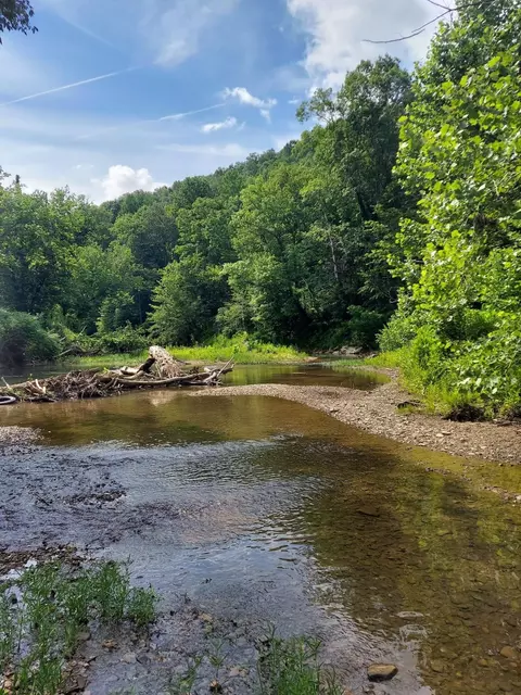0 Wagersville Rd, Irvine, KY 40336