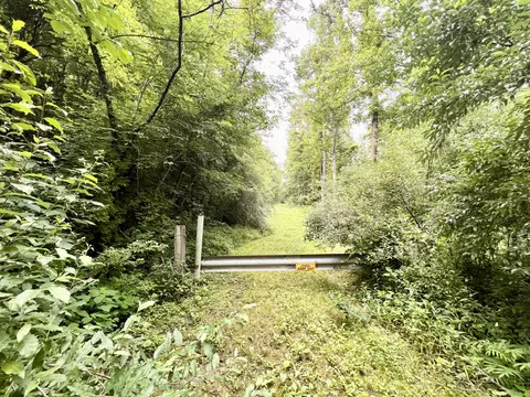 00 Fannin Roscoe Rd, Sandy Hook, KY 41171