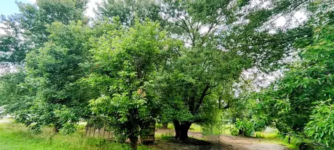 651 Manor Dr, La Grange, KY 40031