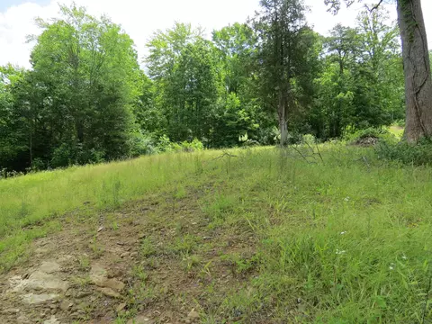 3516 Ky 1232, Gray, KY 40734 photo 16