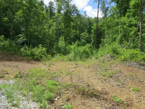 3516 Ky 1232, Gray, KY 40734 photo 7
