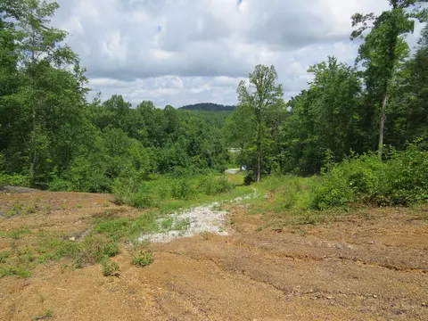 3516 Ky 1232, Gray, KY 40734 photo 14