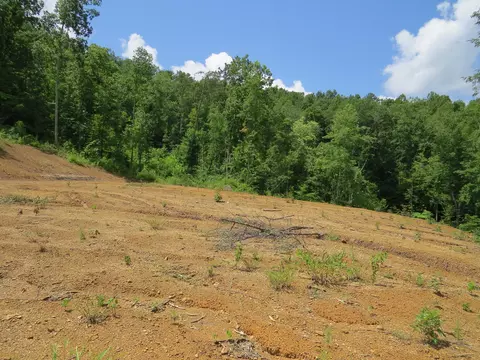 3516 Ky 1232, Gray, KY 40734 photo 12