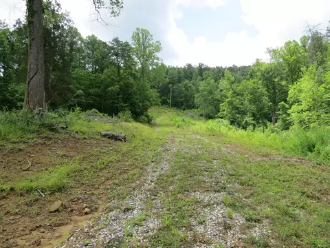 3516 Ky 1232, Gray, KY 40734 photo 4