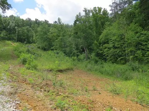 3516 Ky 1232, Gray, KY 40734 photo 6
