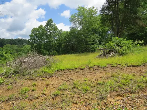 3516 Ky 1232, Gray, KY 40734 photo 5