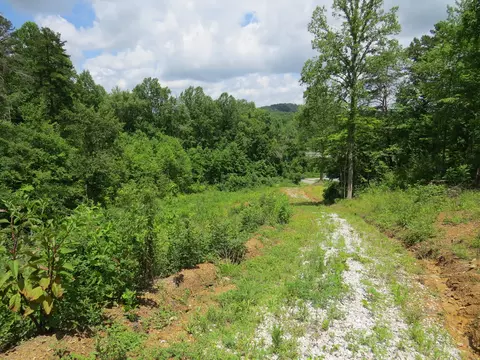 3516 Ky 1232, Gray, KY 40734 photo 15