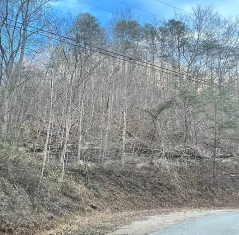 00 00 Pitts Fork--db 612138, David, KY 41616