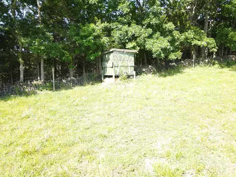 705 Denny Rd, Berry, KY 41003 photo 31