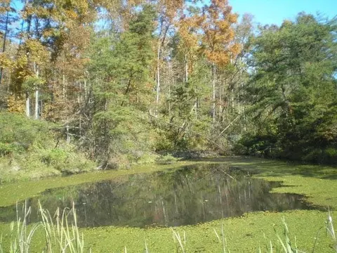 2339 Ky 557, Sandy Hook, KY 41171 photo 26