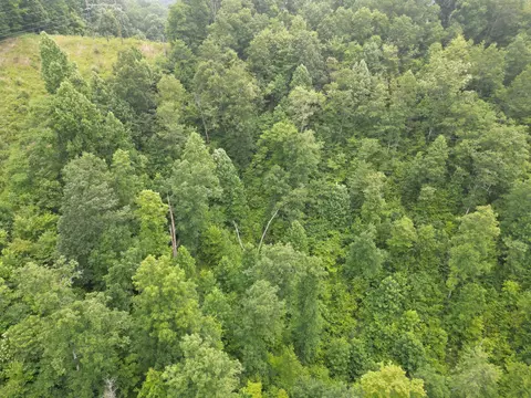 9911 Big Wildcat Rd, Manchester, KY 40962