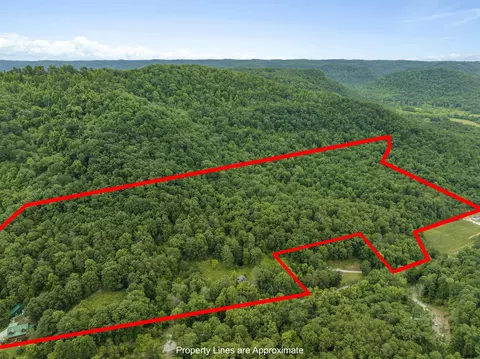 1808 Red Lick Rd, Irvine, KY 40336