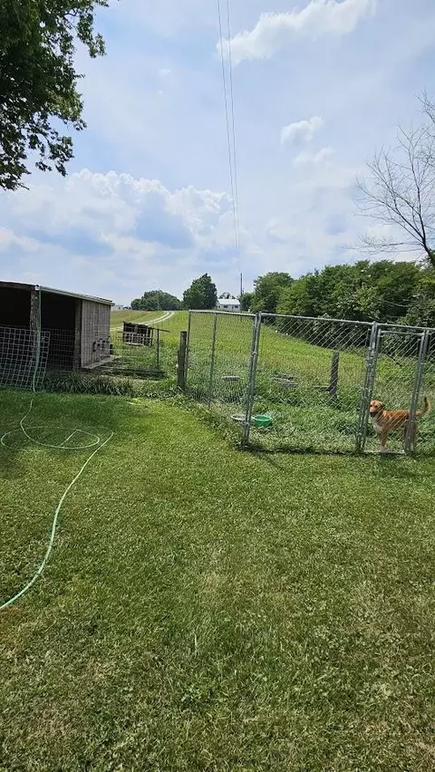 256 Riverview Ln, Augusta, KY 41002 photo 39