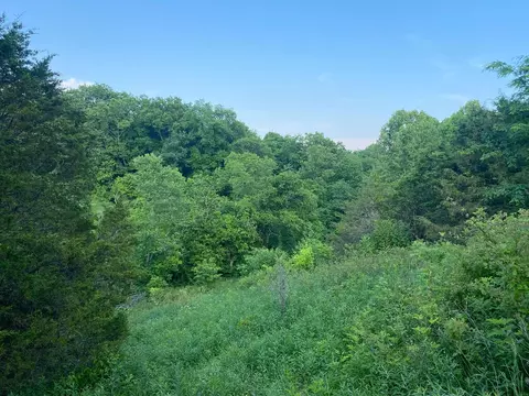 1849 Tea Run Rd, Ewing, KY 41039 photo 16