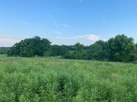 1849 Tea Run Rd, Ewing, KY 41039 photo 9