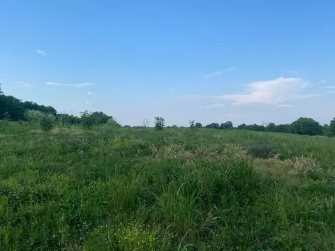 1849 Tea Run Rd, Ewing, KY 41039 photo 4