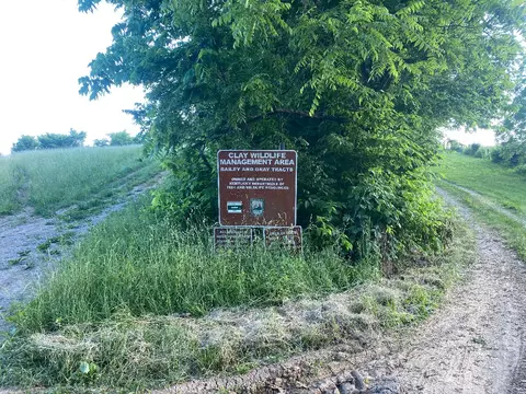 1849 Tea Run Rd, Ewing, KY 41039 photo 24