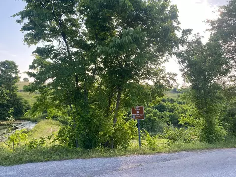 1849 Tea Run Rd, Ewing, KY 41039 photo 23