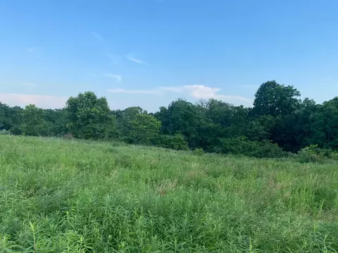 1849 Tea Run Rd, Ewing, KY 41039 photo 7