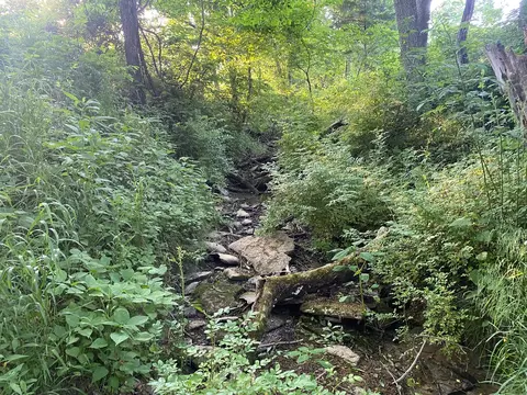 1849 Tea Run Rd, Ewing, KY 41039 photo 19