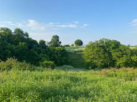 1849 Tea Run Rd, Ewing, KY 41039 photo 21