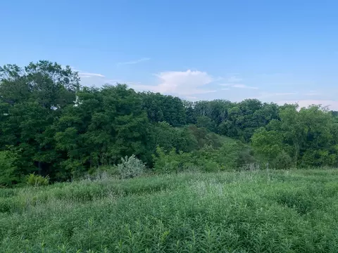 1849 Tea Run Rd, Ewing, KY 41039 photo 12