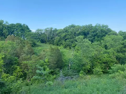 1849 Tea Run Rd, Ewing, KY 41039 photo 17