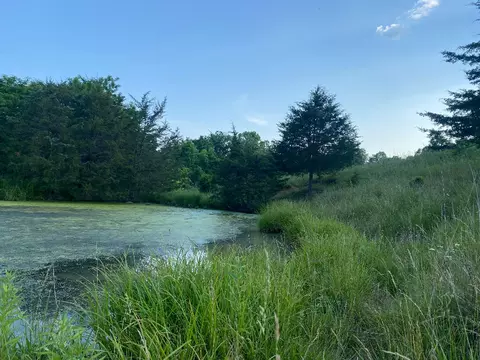 1849 Tea Run Rd, Ewing, KY 41039