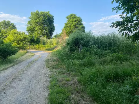 1849 Tea Run Rd, Ewing, KY 41039 photo 22