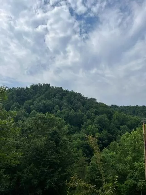 4562 Crane Creek Rd, Manchester, KY 40962