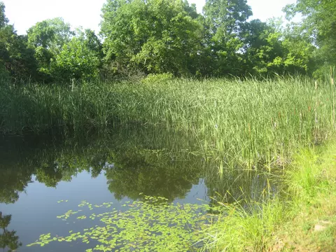511 Saylor Pt, Corinth, KY 41010 photo 21
