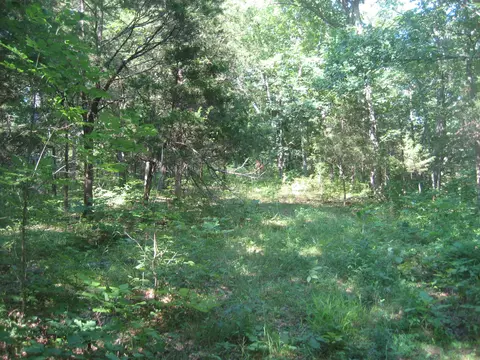 511 Saylor Pt, Corinth, KY 41010 photo 5