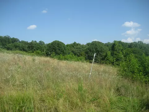 511 Saylor Pt, Corinth, KY 41010 photo 2