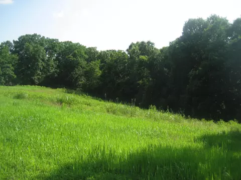 511 Saylor Pt, Corinth, KY 41010 photo 10