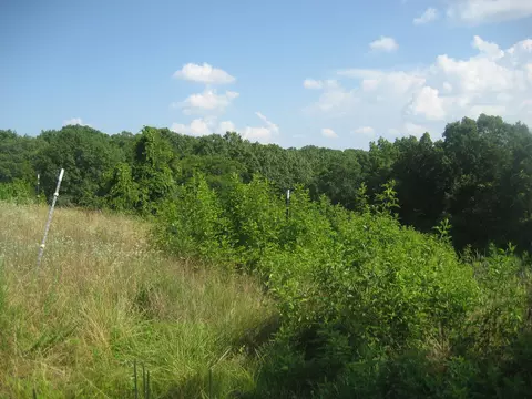 511 Saylor Pt, Corinth, KY 41010 photo 3