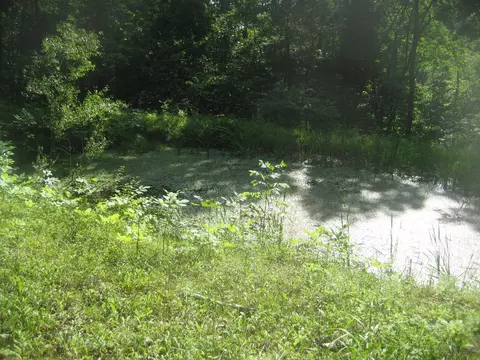 511 Saylor Pt, Corinth, KY 41010 photo 12