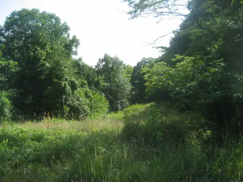 511 Saylor Pt, Corinth, KY 41010 photo 4