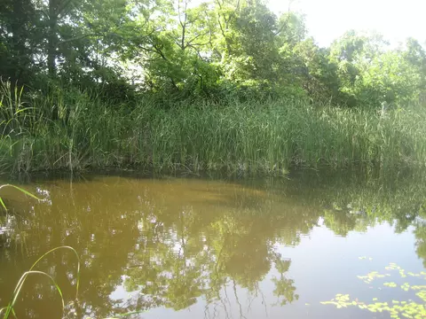 511 Saylor Pt, Corinth, KY 41010 photo 19