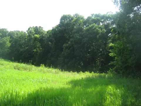 511 Saylor Pt, Corinth, KY 41010 photo 11