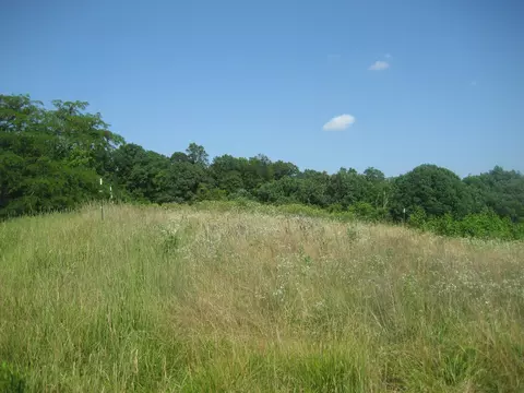 511 Saylor Pt, Corinth, KY 41010