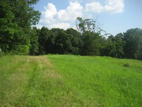 511 Saylor Pt, Corinth, KY 41010 photo 8