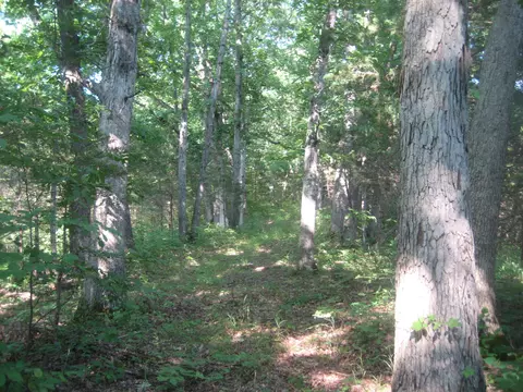 511 Saylor Pt, Corinth, KY 41010 photo 13