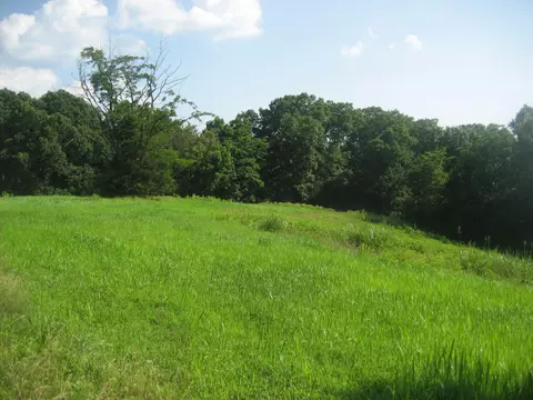 511 Saylor Pt, Corinth, KY 41010 photo 9